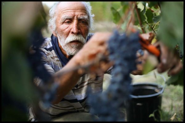 annas-wijnhuisje.nl | 8000 jaar ervaring