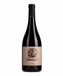 Proef eens deze Domaine Bousquet Gaia Malbec Carbonic (bio) , een droge rode wijn uit Argentinië bij annas-wijnhuisje.nl ✓ Service ✓ Kwaliteit ✓ Snelle levering