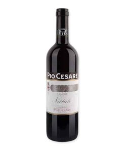 Probeer de Pio Cesare Nebbiolo Langhe Doc 2021 en geniet van een wijn met rijke aroma's en een elegante afdronk. Ideaal voor gerechten als truffelpasta en gegrild vlees.