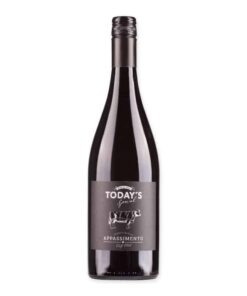 Geniet van onze Today's Special Appassimento wijn, perfect in balans met aroma's van zwart fruit en pruimen, verrijkt door de traditionele appassimento techniek.