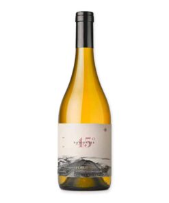 Bodega Otronia Corte de Blancas '45 Rugientes' combineert intense aroma’s met frisheid en elegantie uit Patagonië.